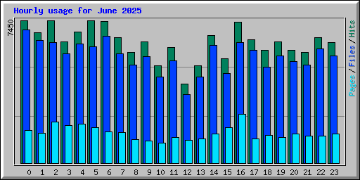 Hourly usage for June 2025