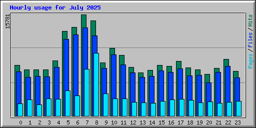 Hourly usage for July 2025