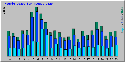 Hourly usage for August 2025