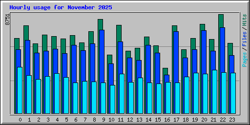 Hourly usage for November 2025