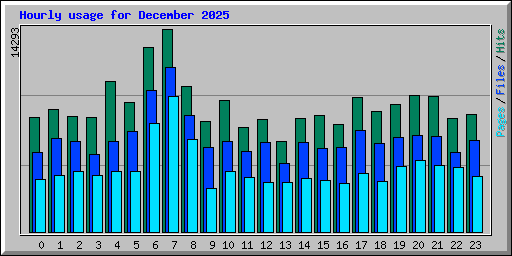 Hourly usage for December 2025